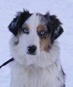 bandit-1 yr-march 2013