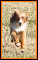 bandit-1 yr-march 2013