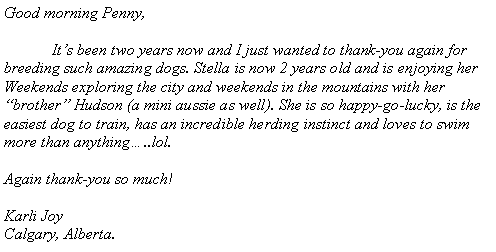 Text Box: Good morning Penny,	It�s been two years now and I just wanted to thank-you again for breeding such amazing dogs. Stella is now 2 years old and is enjoying herWeekends exploring the city and weekends in the mountains with her �brother� Hudson (a mini aussie as well). She is so happy-go-lucky, is the easiest dog to train, has an incredible herding instinct and loves to swim more than anything�..lol.Again thank-you so much!Karli JoyCalgary, Alberta.