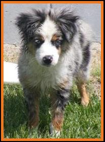 Jessie @ 4 1/2 months