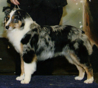 coat tails rhythm & blues 