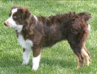 holzmiesters katie harley kat