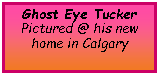 Text Box: Ghost Eye TuckerPictured @ his new home in Calgary