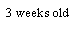 Text Box: 3 weeks old