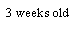 Text Box: 3 weeks old