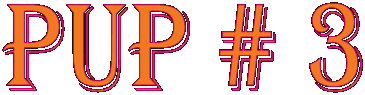 Pup # 3