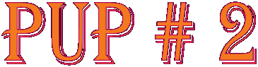Pup # 2
