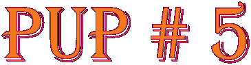 Pup # 5