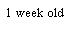 Text Box: 1 week old