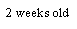 Text Box: 2 weeks old