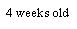 Text Box: 4 weeks old