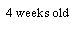 Text Box: 4 weeks old