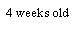 Text Box: 4 weeks old