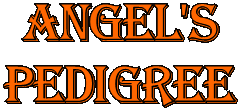 angel's
pedigree