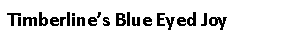 Text Box: Timberline’s Blue Eyed Joy