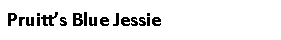 Text Box: Pruitt’s Blue Jessie
