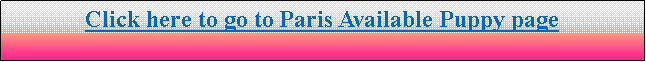 Text Box: Click here to go to Paris & Jack’s Available Puppy Page