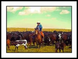 P.M. Packet Photography western photo art card