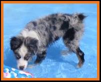 Jessie @ 4 1/2 months