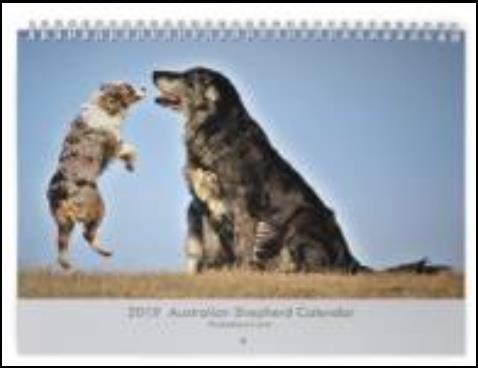 2019 Australian Shepherd Calendar- featuring Toy, Mini & Standard Aussies- Packetranch.com