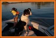 Monty & Chase out boating