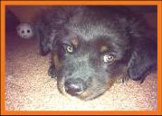 Ghost Eye Tucker
