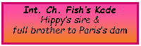 Text Box: Int. Ch. Fish�s KadeHippy�s sire & full brother to Paris�s dam