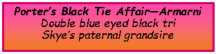 Text Box: Porter�s Black Tie Affair�ArmarniDouble blue eyed black triSkye�s paternal grandsire