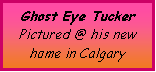 Text Box: Ghost Eye TuckerPictured @ his new home in Calgary