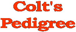 Colt's
Pedigree