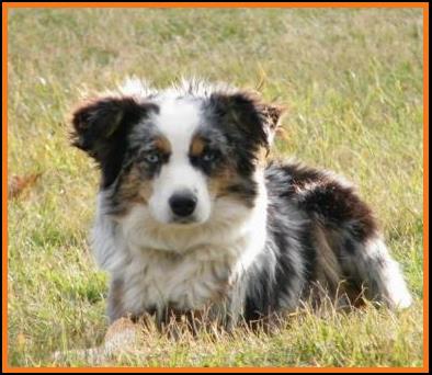 Cedar Crest Ghost Eye Jessie-summer 2013