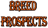 Breed 
prospects