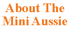 Text Box: About The  Mini Aussie