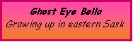Text Box: Ghost Eye BellaGrowing up in eastern Sask.