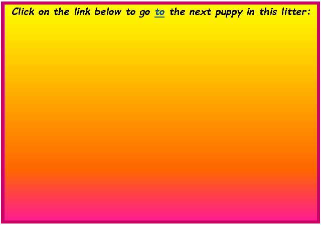 Text Box:  Click on the link below to go to the next puppy in this litter:        	        