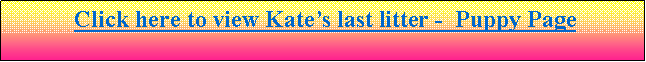 Text Box: Click here to go to Kate�s Available Puppy Page