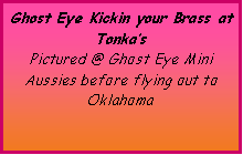 Text Box: Ghost Eye Kickin your Brass at Tonka�sPictured @ Ghost Eye Mini Aussies before flying out to Oklahoma